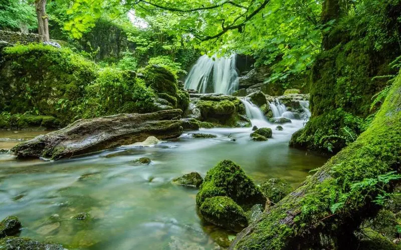 高效智能绿色